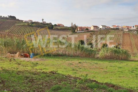 Tomt i Alenquer, Lisbon, Alenquer - € 120 000 | Ref: 4985WE - foto 7