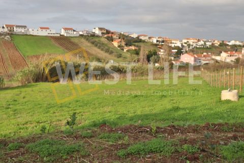 Tomt i Alenquer, Lisbon, Alenquer - € 120 000 | Ref: 4985WE - foto 16