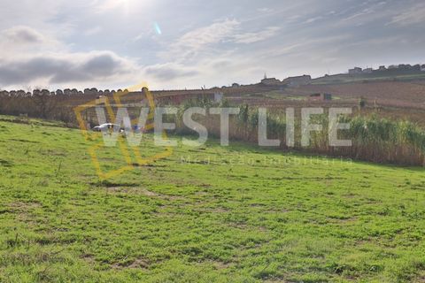Tomt i Alenquer, Lisbon, Alenquer - € 120 000 | Ref: 4985WE - foto 1