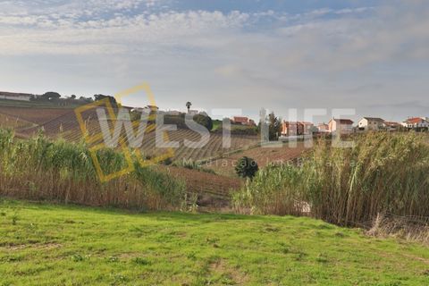 Tomt i Alenquer, Lisbon, Alenquer - € 120 000 | Ref: 4985WE - foto 2