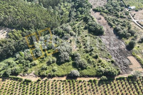 Helårsgrund i Mafra, Lisbon, Mafra - € 49.000 | Ref: 4621WE - foto 3