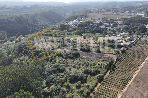 Helårsgrund i Mafra, Lisbon, Mafra - € 49.000 | Ref: 4621WE - foto 4