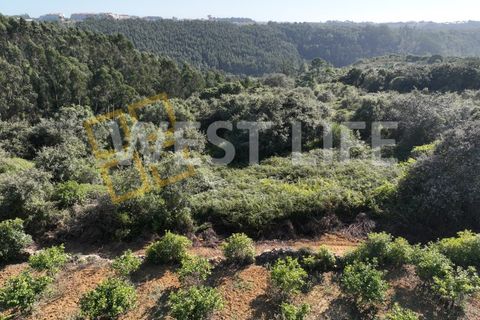 Helårsgrund i Mafra, Lisbon, Mafra - € 49.000 | Ref: 4621WE - foto 5