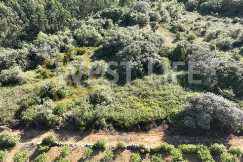Helårsgrund i Mafra, Lisbon, Mafra - € 49.000 | Ref: 4621WE - foto 6