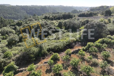 Helårsgrund i Mafra, Lisbon, Mafra - € 49.000 | Ref: 4621WE - foto 7