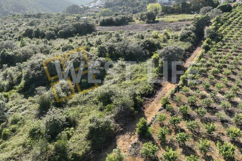 Helårsgrund i Mafra, Lisbon, Mafra - € 49.000 | Ref: 4621WE - foto 8