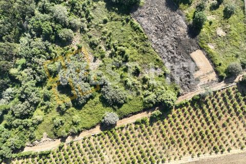 Helårsgrund i Mafra, Lisbon, Mafra - € 49.000 | Ref: 4621WE - foto 10