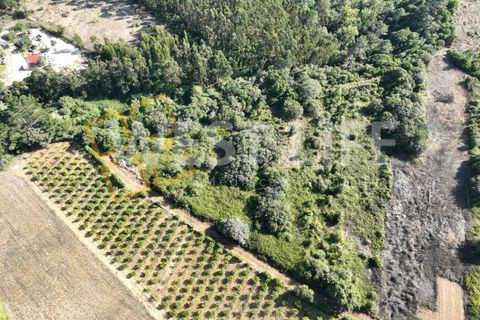 Helårsgrund i Mafra, Lisbon, Mafra - € 49.000 | Ref: 4621WE - foto 11