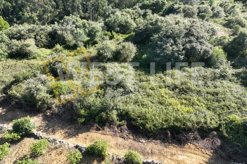 Helårsgrund i Mafra, Lisbon, Mafra - € 49.000 | Ref: 4621WE - foto 12