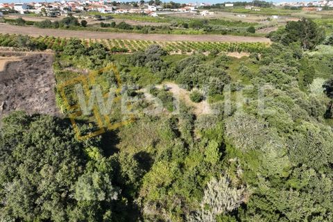 Helårsgrund i Mafra, Lisbon, Mafra - € 49.000 | Ref: 4621WE - foto 13