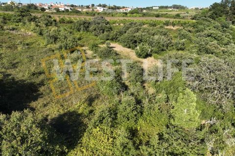 Helårsgrund i Mafra, Lisbon, Mafra - € 49.000 | Ref: 4621WE - foto 14