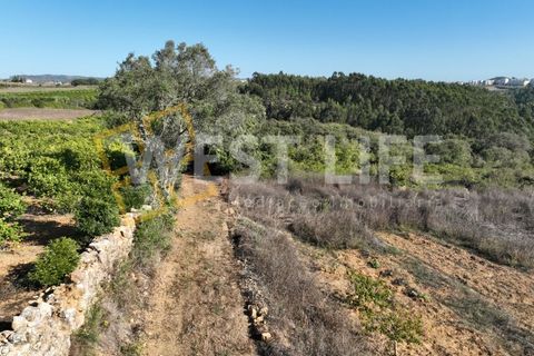 Helårsgrund i Mafra, Lisbon, Mafra - € 49.000 | Ref: 4621WE - foto 15