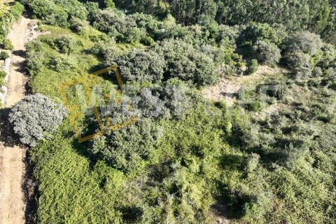 Helårsgrund i Mafra, Lisbon, Mafra - € 49.000 | Ref: 4621WE - foto 16