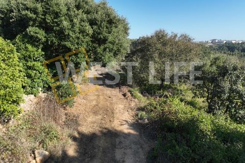 Helårsgrund i Mafra, Lisbon, Mafra - € 49.000 | Ref: 4621WE - foto 17