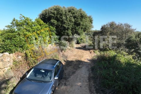 Helårsgrund i Mafra, Lisbon, Mafra - € 49.000 | Ref: 4621WE - foto 18