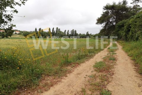 Helårsgrund i Ericeira, Lisbon, Ericeira - € 69.900 | Ref: 3864WE - foto 7