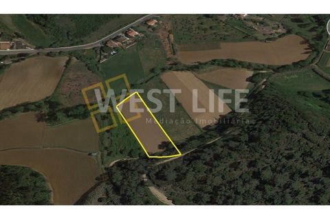 Helårsgrund i Ericeira, Lisbon, Ericeira - € 69.900 | Ref: 3864WE - foto 3