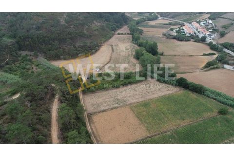 Helårsgrund i Ericeira, Lisbon, Ericeira - € 69.900 | Ref: 3864WE - foto 10