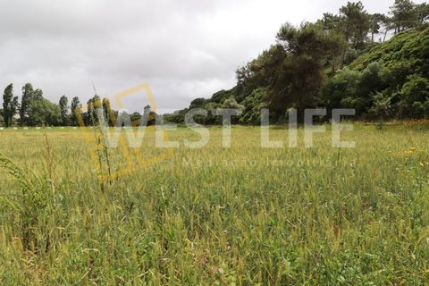 Helårsgrund i Ericeira, Lisbon, Ericeira - € 69.900 | Ref: 3864WE - foto 11