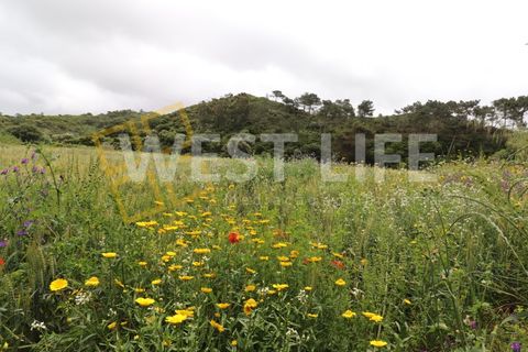 Helårsgrund i Ericeira, Lisbon, Ericeira - € 69.900 | Ref: 3864WE - foto 12