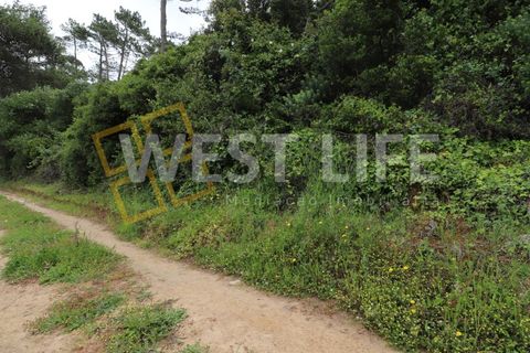 Helårsgrund i Ericeira, Lisbon, Ericeira - € 69.900 | Ref: 3864WE - foto 13