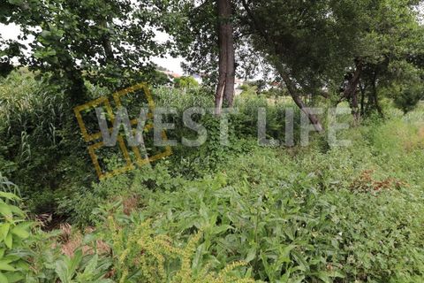 Helårsgrund i Ericeira, Lisbon, Ericeira - € 69.900 | Ref: 3864WE - foto 16