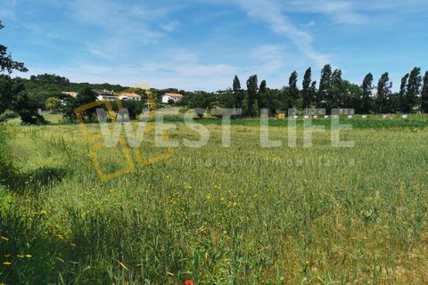 Helårsgrund i Ericeira, Lisbon, Ericeira - € 69.900 | Ref: 3864WE - foto 2