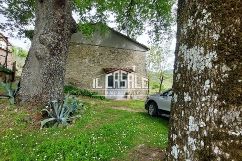 Villa a Vicchio, Florence, Vicchio - € 170.000 | Ref: 2006 - foto 32