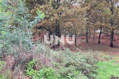 Helårsgrund i Abraveses, Viseu, Abraveses - € 47.500 | Ref: UNU.I.1582.15002 - foto 3