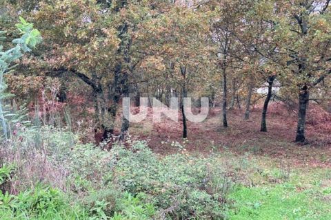 Helårsgrund i Abraveses, Viseu, Abraveses - € 47.500 | Ref: UNU.I.1582.15002 - foto 4
