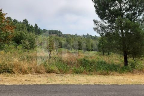 Helårsgrund i Viseu, Viseu, Viseu - € 7.000 | Ref: UNU.I.1273.15002 - foto 2