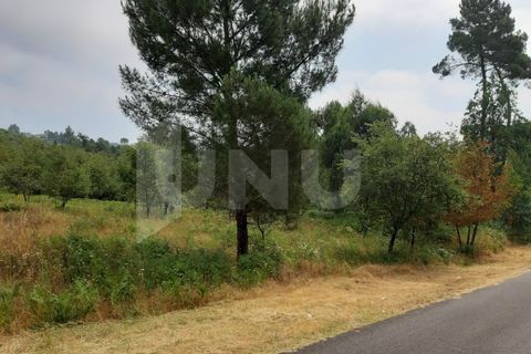 Helårsgrund i Viseu, Viseu, Viseu - € 7.000 | Ref: UNU.I.1273.15002 - foto 3