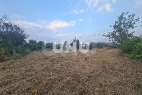 Helårsgrund i Abraveses, Viseu, Abraveses - € 15.000 | Ref: UNU.I.1508.15002 - foto 3