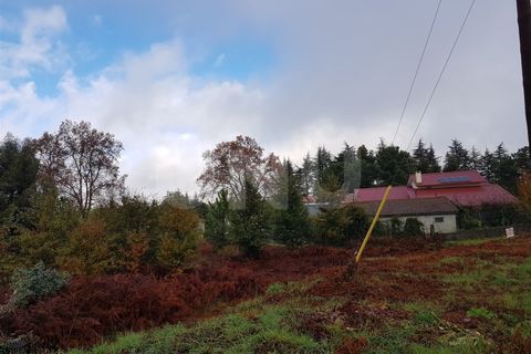 Helårsgrund i Abraveses, Viseu, Abraveses - € 195.000 | Ref: UNU.I.1148.15002 - foto 3