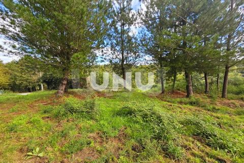 Helårsgrund i Viseu, Viseu, Viseu - € 180.000 | Ref: UNU.I.1688.15002 - foto 1