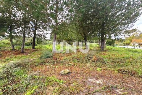 Helårsgrund i Viseu, Viseu, Viseu - € 180.000 | Ref: UNU.I.1688.15002 - foto 2