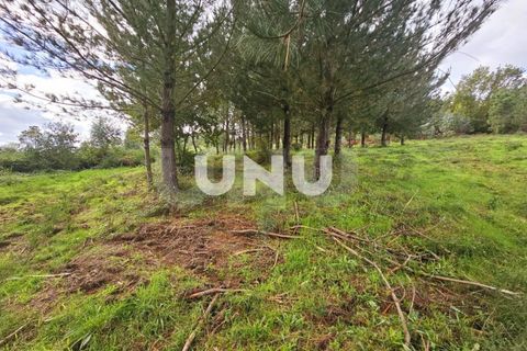 Helårsgrund i Viseu, Viseu, Viseu - € 180.000 | Ref: UNU.I.1688.15002 - foto 3