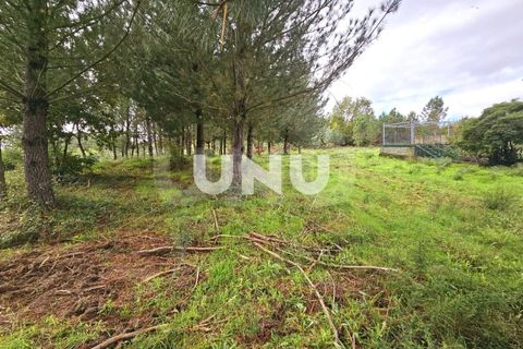 Helårsgrund i Viseu, Viseu, Viseu - € 180.000 | Ref: UNU.I.1688.15002 - foto 4