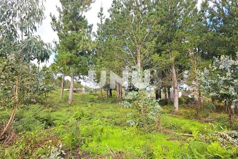 Helårsgrund i Viseu, Viseu, Viseu - € 180.000 | Ref: UNU.I.1688.15002 - foto 5