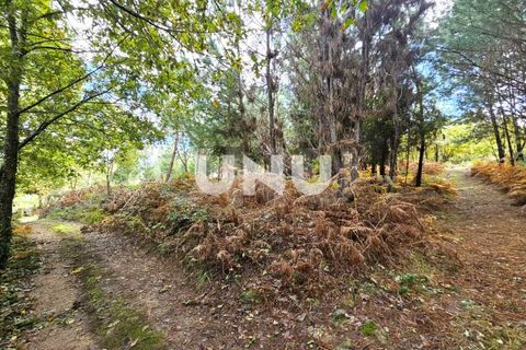 Helårsgrund i Viseu, Viseu, Viseu - € 180.000 | Ref: UNU.I.1688.15002 - foto 6