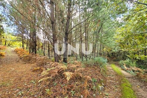Helårsgrund i Viseu, Viseu, Viseu - € 180.000 | Ref: UNU.I.1688.15002 - foto 7