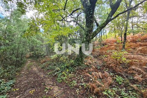 Helårsgrund i Viseu, Viseu, Viseu - € 180.000 | Ref: UNU.I.1688.15002 - foto 8