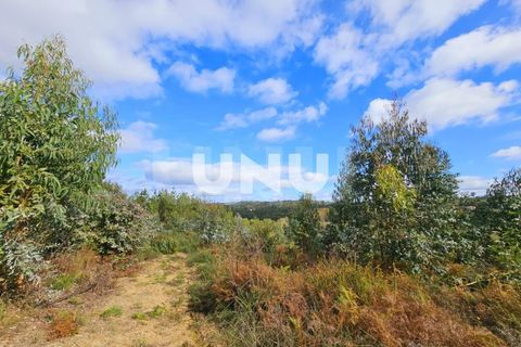 Helårsgrund i Viseu, Viseu, Viseu - € 180.000 | Ref: UNU.I.1688.15002 - foto 10