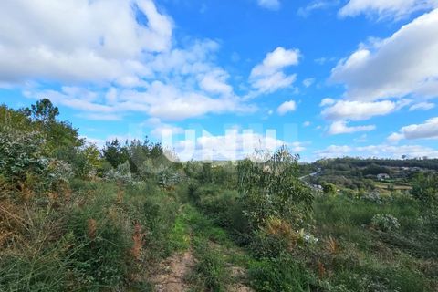 Helårsgrund i Viseu, Viseu, Viseu - € 180.000 | Ref: UNU.I.1688.15002 - foto 11