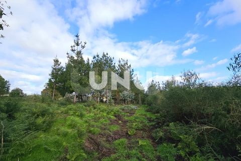 Helårsgrund i Viseu, Viseu, Viseu - € 180.000 | Ref: UNU.I.1688.15002 - foto 12