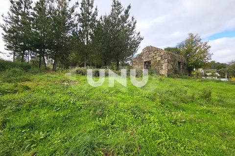 Helårsgrund i Viseu, Viseu, Viseu - € 180.000 | Ref: UNU.I.1688.15002 - foto 13