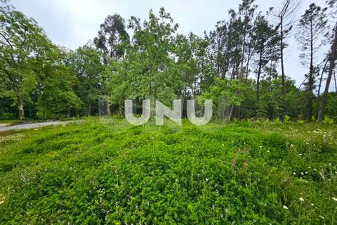 Helårsgrund i Viseu, Viseu, Viseu - € 29.900 | Ref: UNU.I.1723.15002 - foto 5