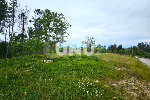 Helårsgrund i Viseu, Viseu, Viseu - € 29.900 | Ref: UNU.I.1723.15002 - foto 8