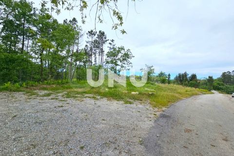 Helårsgrund i Viseu, Viseu, Viseu - € 29.900 | Ref: UNU.I.1723.15002 - foto 9
