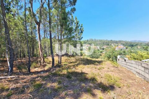 Helårsgrund i Viseu, Viseu, Viseu - € 88.000 | Ref: UNU.I.1556.15002 - foto 3